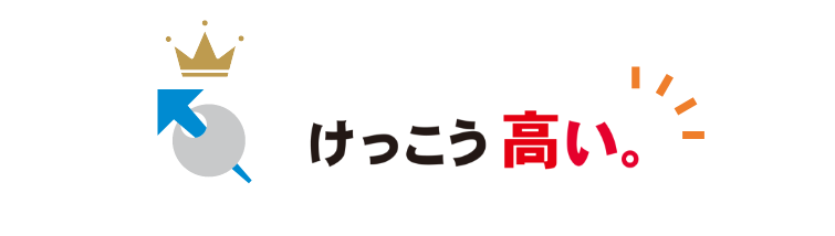 けっこう高い