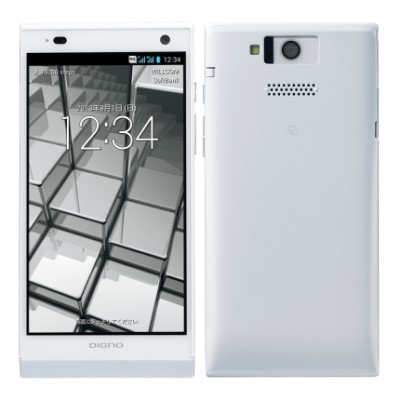 DINGO　DUAL2