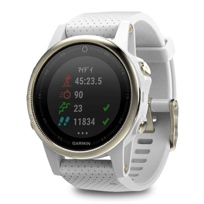 Garmin fenix 5S 010-01685-45