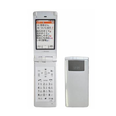 STYLE series L-01C