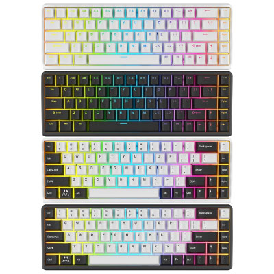 TENKO Polar 65 + HE Magnetic Gaming Keyboard [英語配列/有線]