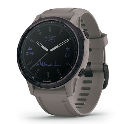 Garmin fenix 6S Pro Dual Power 010-02409-22