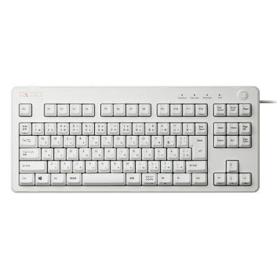 Topre REALFORCE R3 91 [日本語配列/有線/USB]