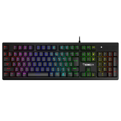 GAMDIAS HERMES L1 [日本語配列/有線/USB]