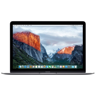 MacBook 12インチ MJY42J/A Early2015 CoreM(1.2GHz) 8GB 512GB スペースグレイ