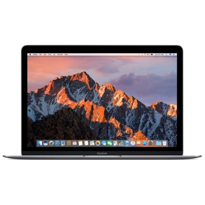 MacBook 12インチ MLH82J/A Early2016 Corem5(1.2GHz) 8GB 512GB スペースグレイ