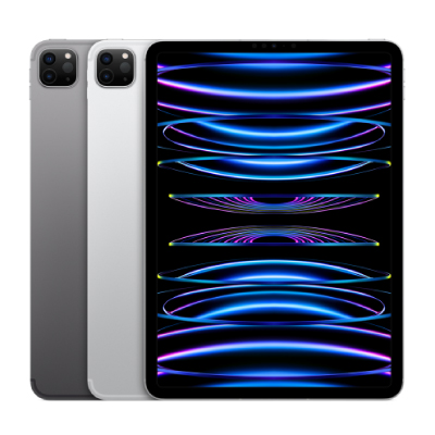 iPad Pro 11インチ 第4世代 Wi-Fiモデル 海外版